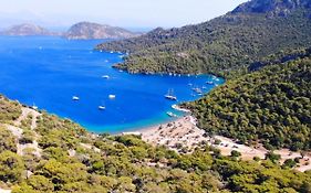 Ceylanhouse-2